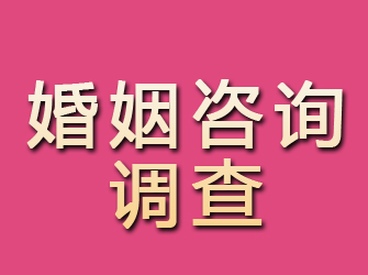 安化婚姻咨询调查